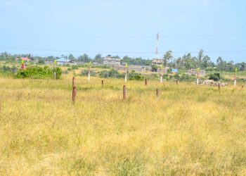 kCA Gardens